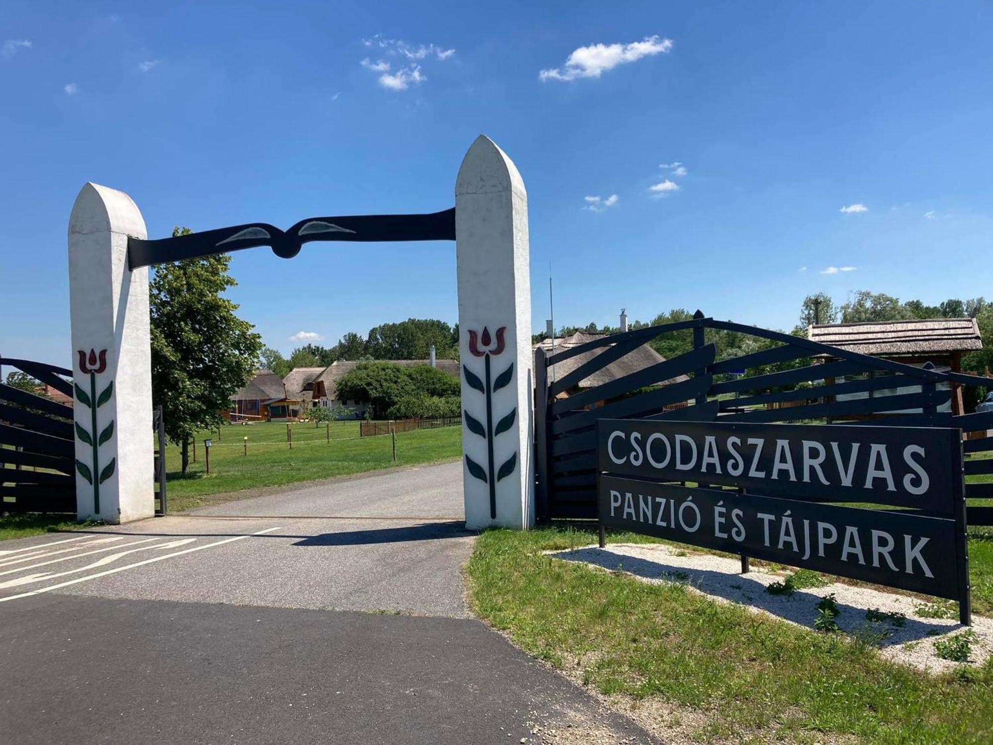 Csodaszarvas Vendeghazak Rabahidveg Екстер'єр фото